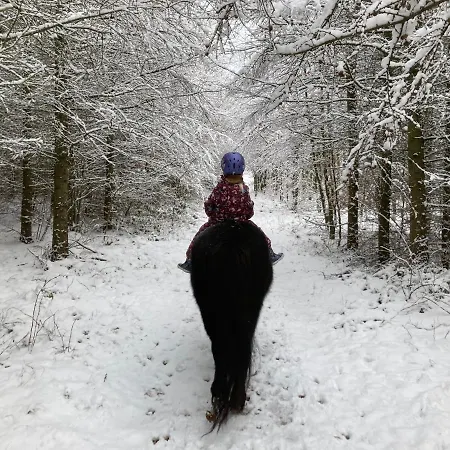 Korsholt-natur B-b * Sindal