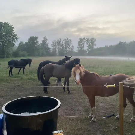 Korsholt-natur B-b بيت ضيافة