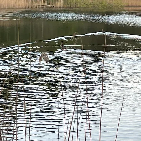 Korsholt-natur B-b *