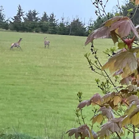 بيت ضيافة Korsholt-natur B-b *