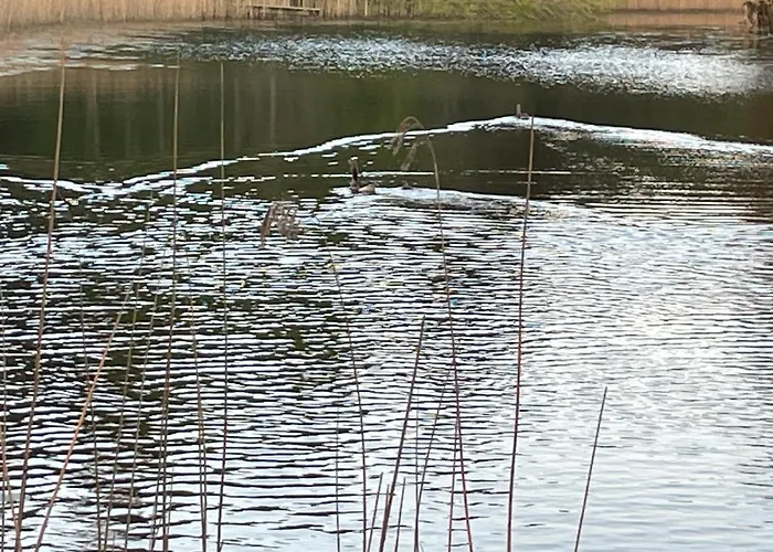 Korsholt-natur B-b *